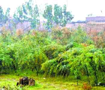 Heavy wind and rain thwarted