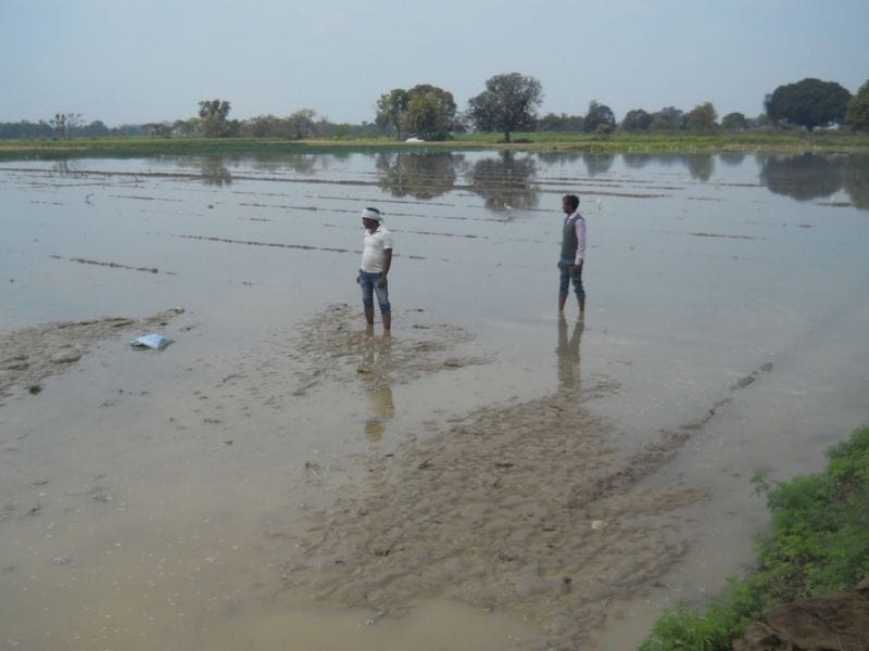 Canal track, crop submerged