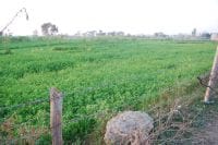 jind,  every course, give five seat,   harayana