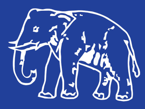 BSP's Social Engineering Fell, Dalit vote also break
