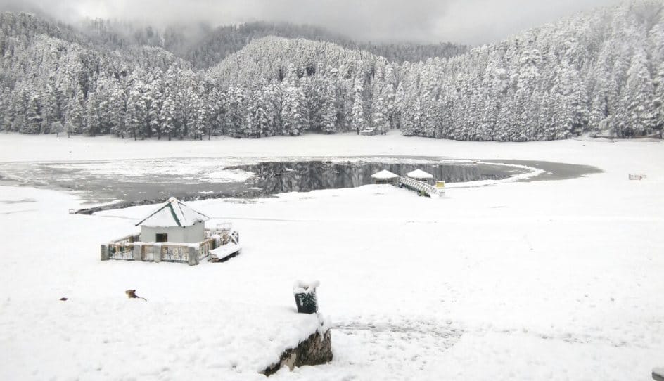 Fresh Snowfall in Himachal, Snowfall at Shimla Also.