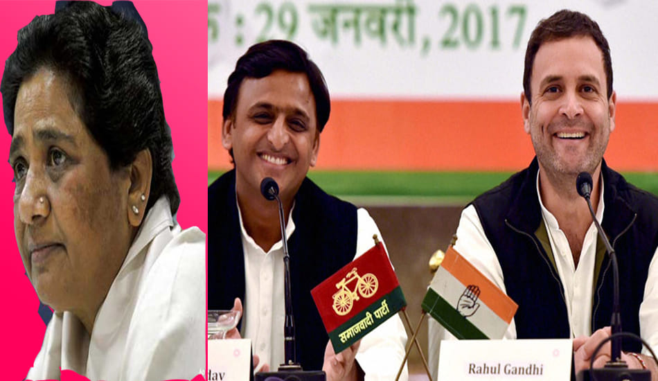 samajwadi party got plus congress bsp lost vote in up election