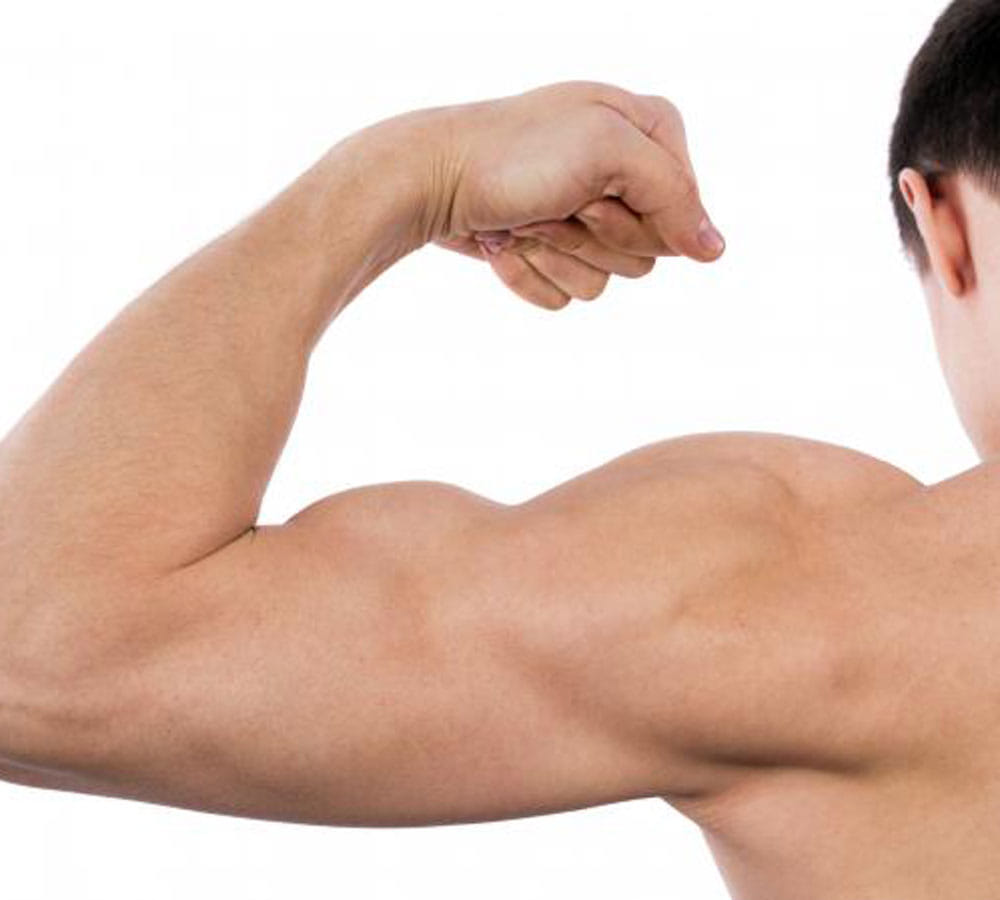 best exercise for biceps