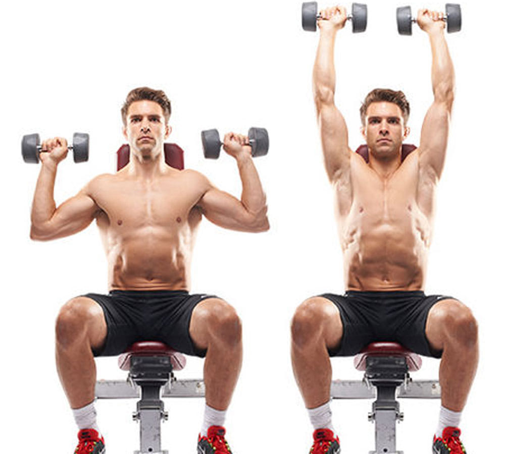 best exercise for biceps