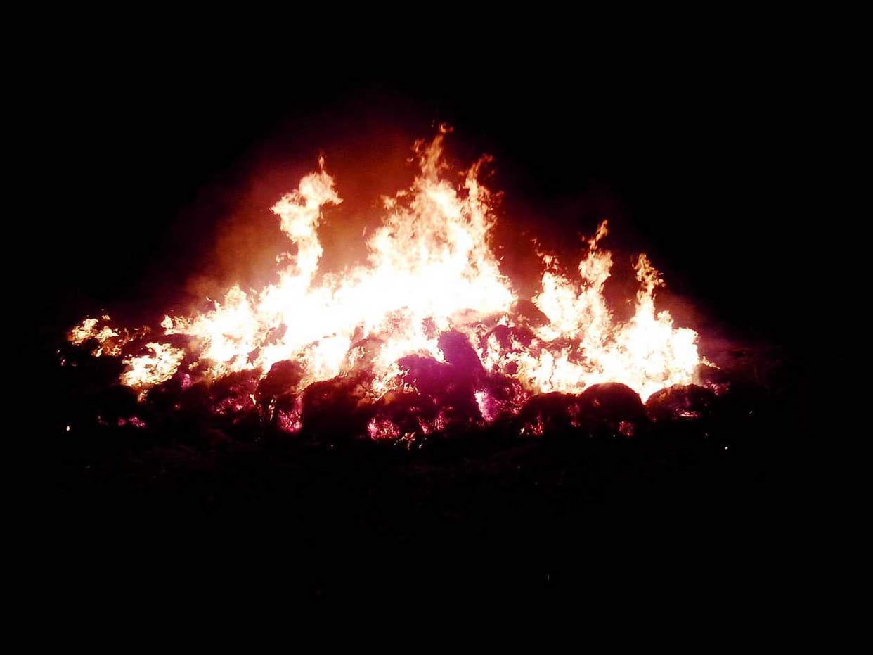 Holika Jali, the festival of colors