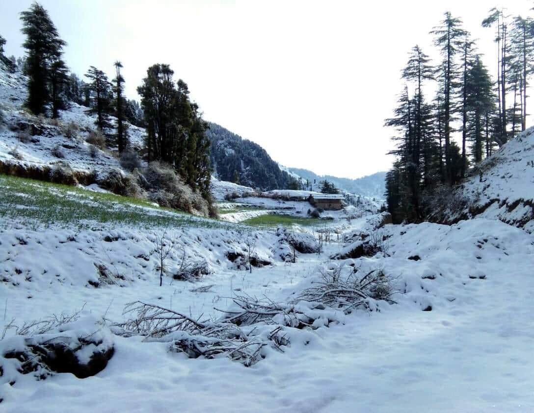 snowfall on holi at kedarnath