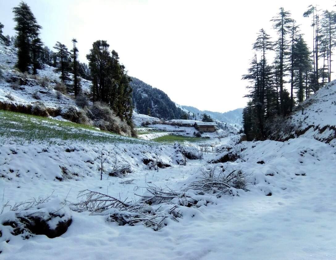 snowfall on holi at kedarnath