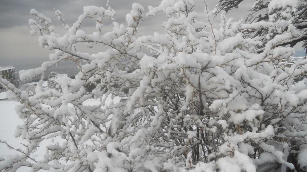 Five feet thick snow sheet in Nathtapap