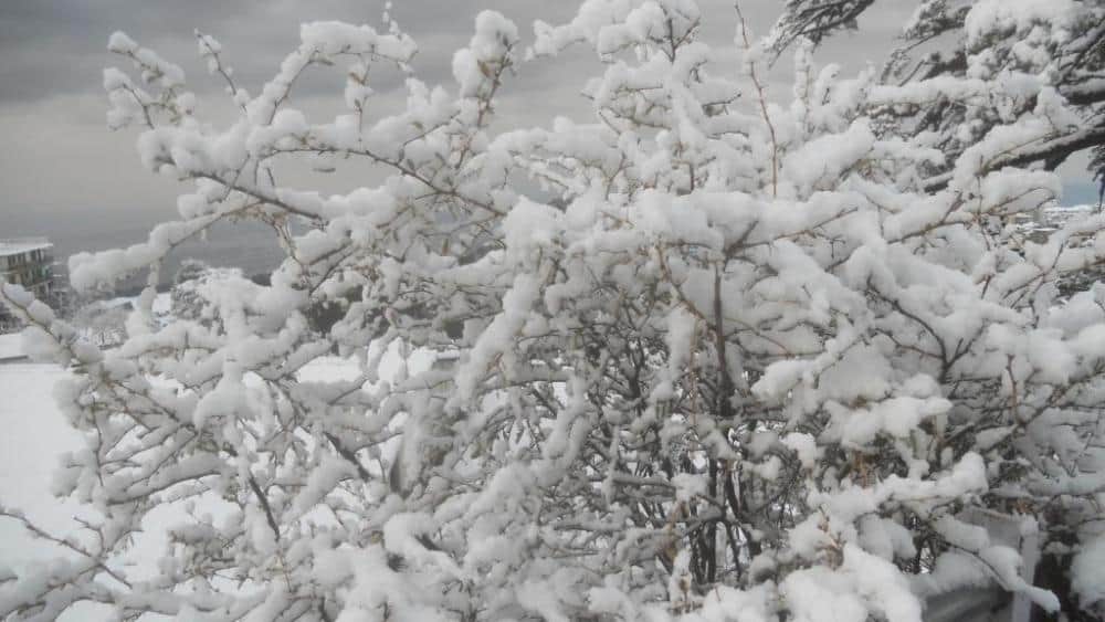 very heavy snowfall in mussoorie after many years 