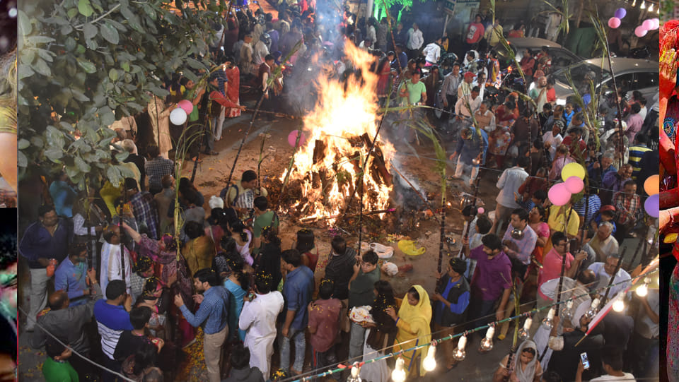 holi celebration photos