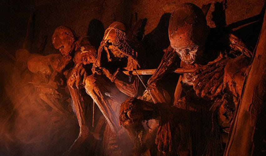 families lived in between the dead people
