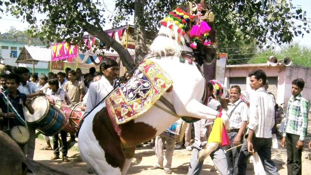 unique marriage on holi