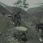 कुपवाड़ा एनकाउंटर