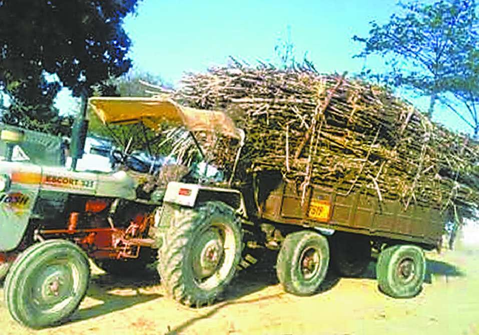 Elderly death due to tractor-trolley collapse