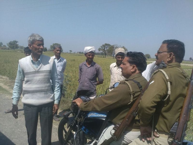 Apex boom Sprouting, finding the reason for the officers and the villagers