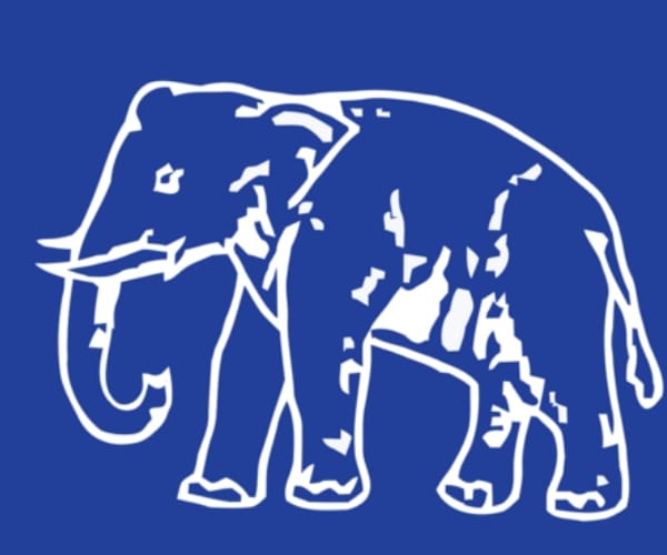 bsp loses its vote bank in agra