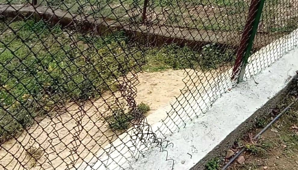 animal death in nainital zoo