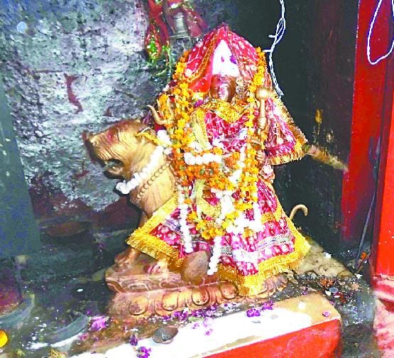 More than sixty thousand devotees visited the mother