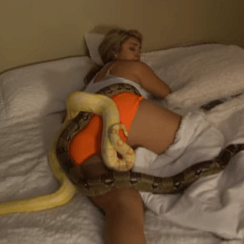 boyfriend throws python on her sleepy girlfriend