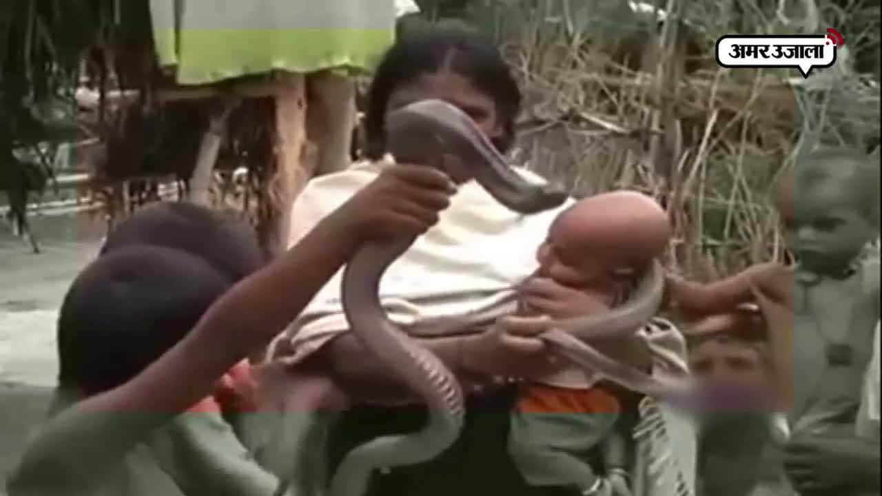 वायरल वीडियो