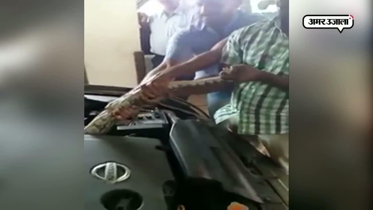 वायरल वीडियो