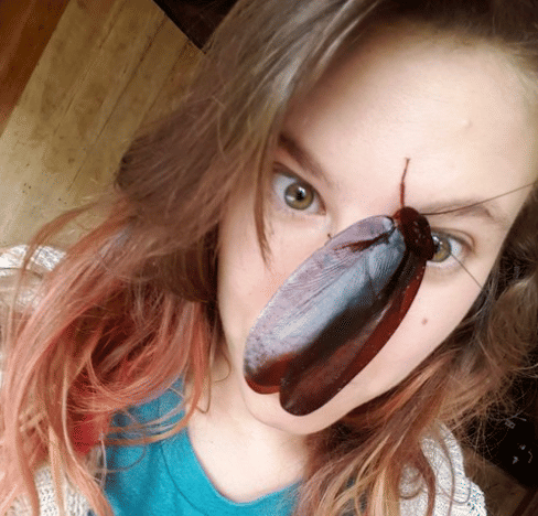 People Are Clicking Pictures With Bugs On Their Faces 