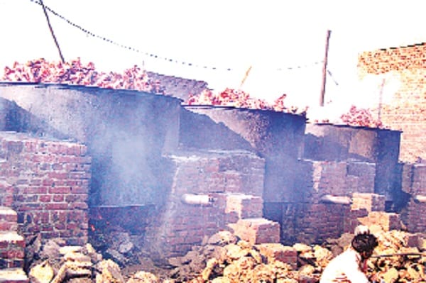 Crisis on all the  Kamele in the city, now BJP will stop! 