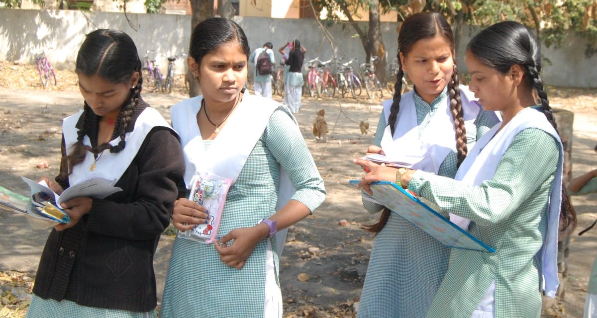Three rustic mimics in Hindi