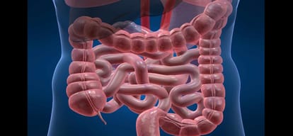 rare intestine transplant successful first time in any government hospital of india