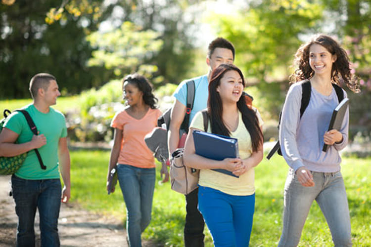 bhagat phool singh university invites application from eligible candidates for diff. positions
