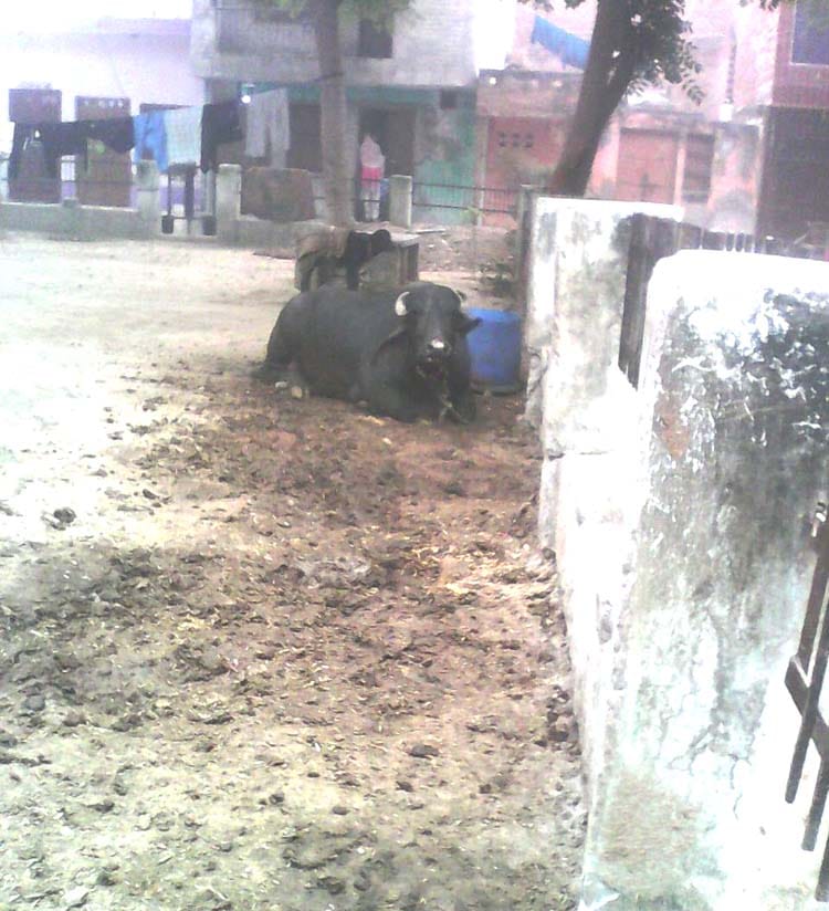 Parked stables, mornings on the road