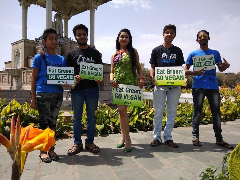 PETA gave unique message