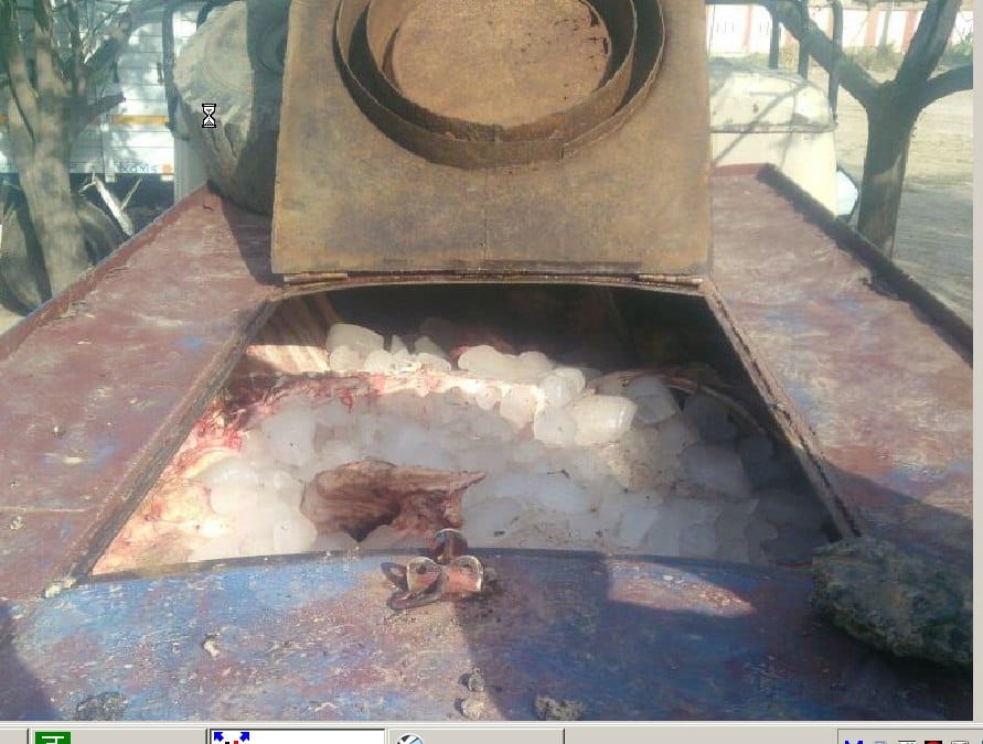 From the flesh of cattle Filled milk tanker caught