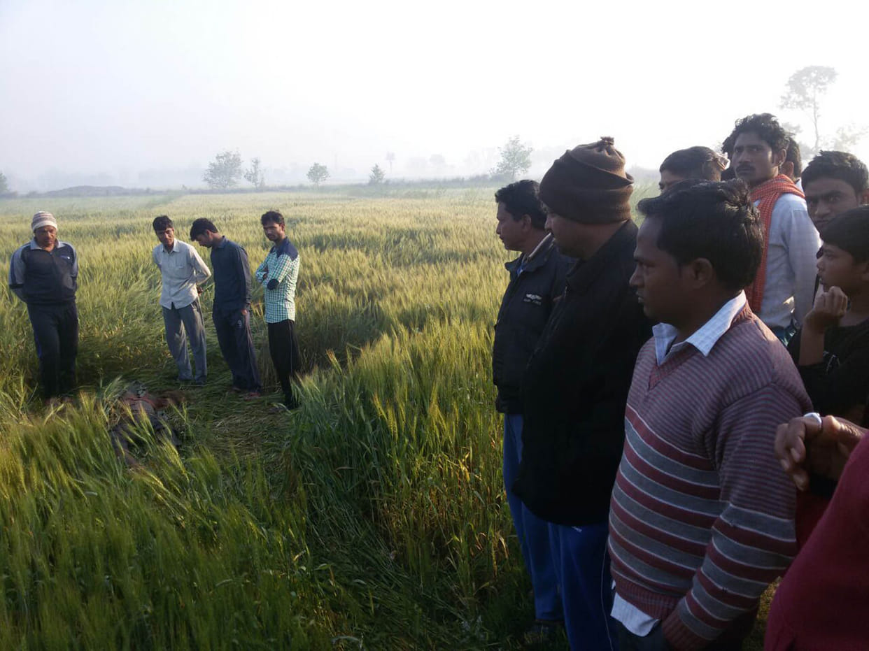 Dead body found in wheat field, not identified