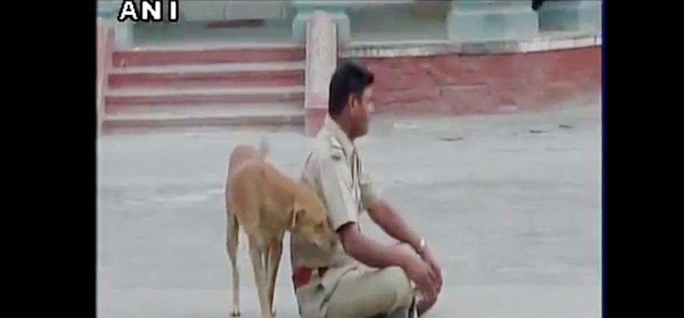 drunk police man caught miss behaving in police station in rajasthan 
