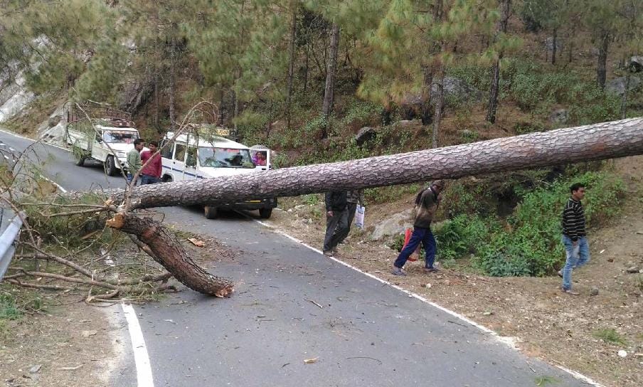 Trees fall off the road for two hours