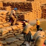 Lowest food grain production in North Korea last year