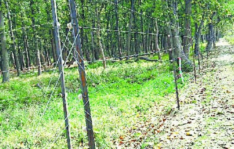 25 km adjacent to Tiger Reserve Will be in the field of wire facing