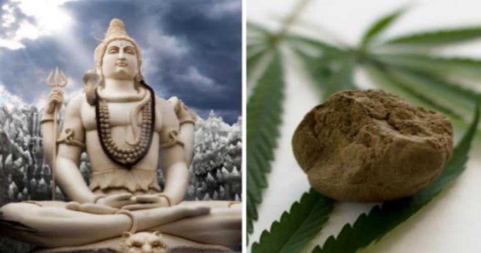 big medical achievement, researchers found treatment of cancer and mirgi in bhang