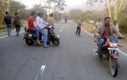 elephant reached on the Haridwar-Najibabad highway