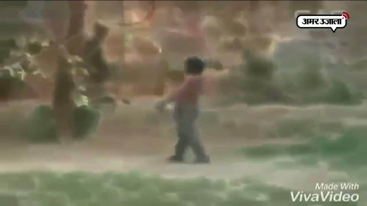 वायरल वीडियो