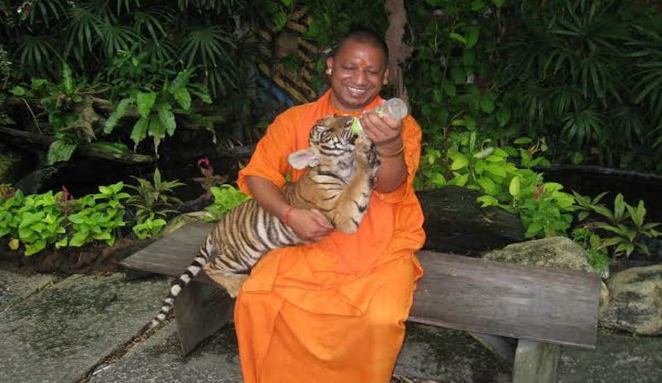 reasons why yogi aditya nath made cm of up 
