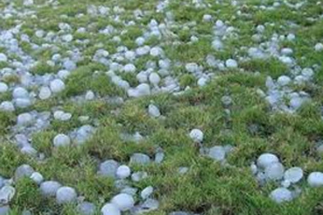 hailstorming rain damages crops in western parts of rajasthan 