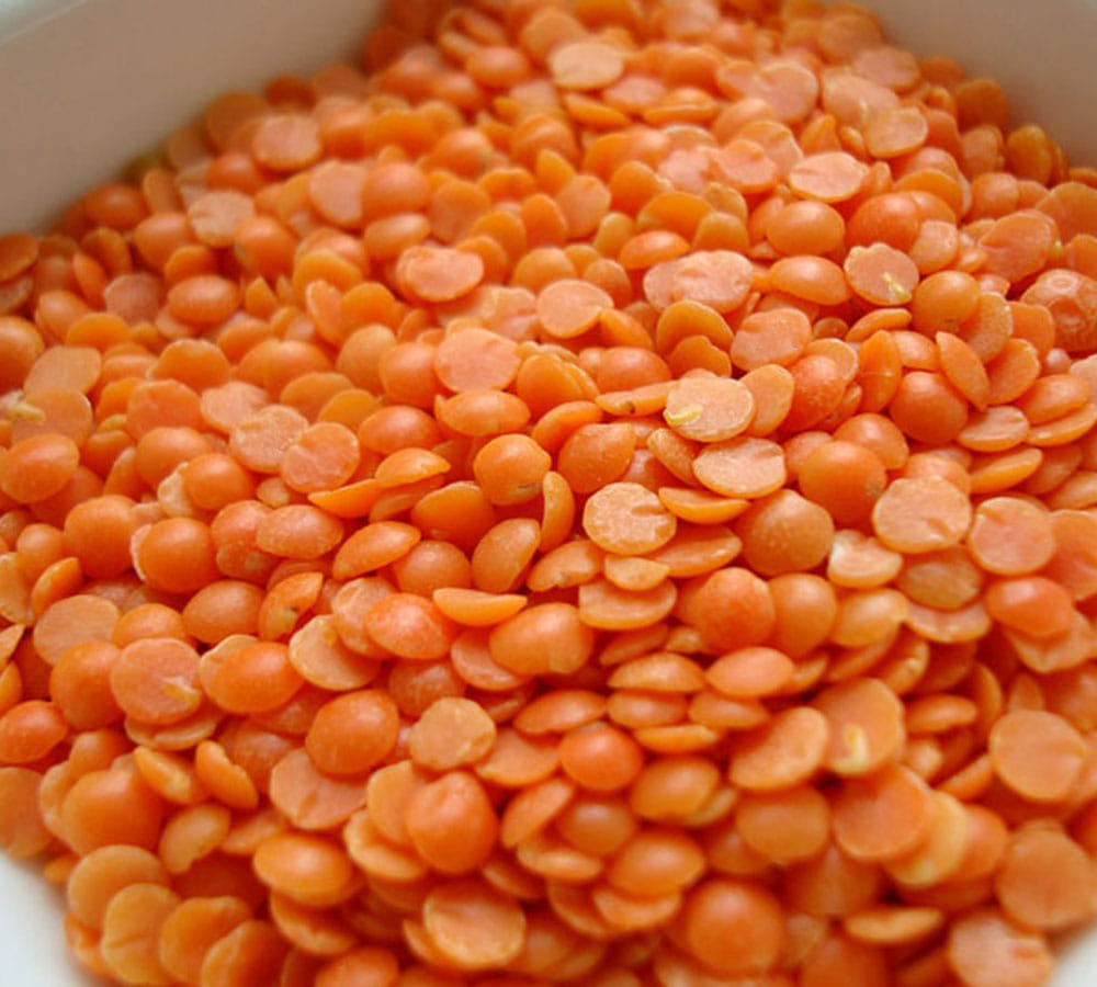 best protein foods for vegetarians 