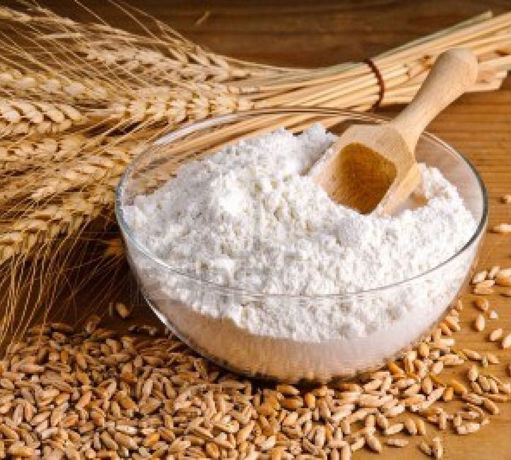 best protein foods for vegetarians 
