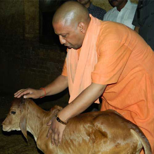 By adopting these 5 habits of Yogi Adityanath you can be successful