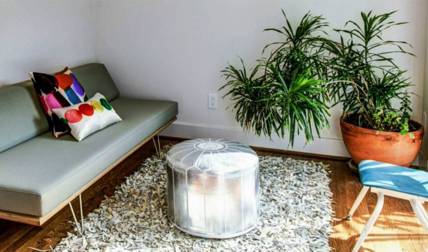 Stay away from the this house decorating plant