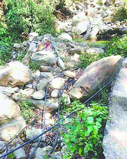Flush with the health of devotees in Purnagiri fair