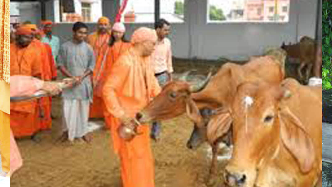 characteristic of yogi adityanath