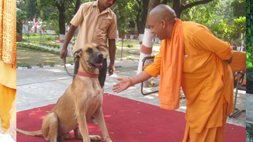 Chief minister yogi adityanath must doing this five work at every gorakhpur visit